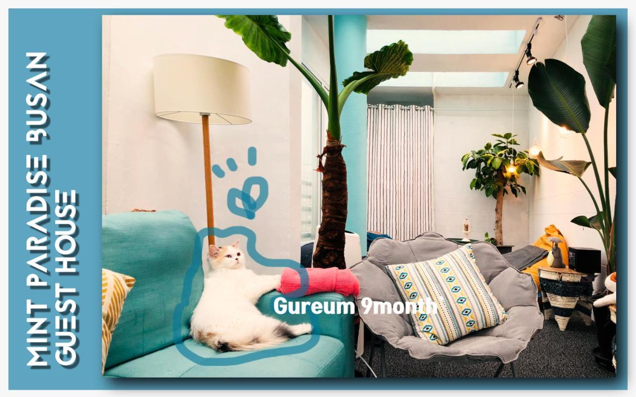 Mint Paradise Μπουσάν Εξωτερικό φωτογραφία